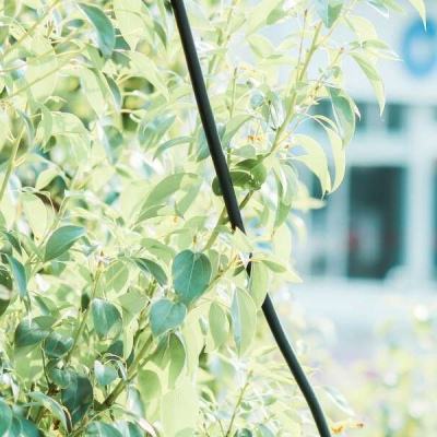 竞彩足球app下载手机版