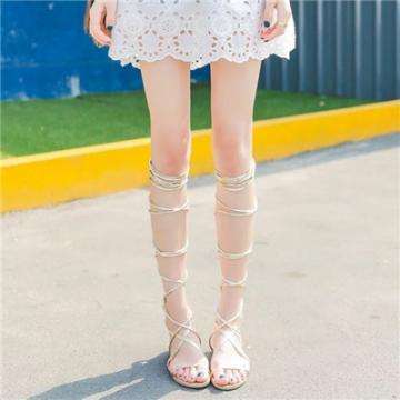 华体会登录手机app下载